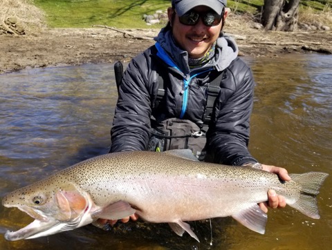 Lake Michigan Steelhead - Fin N' Fly Sportfishing